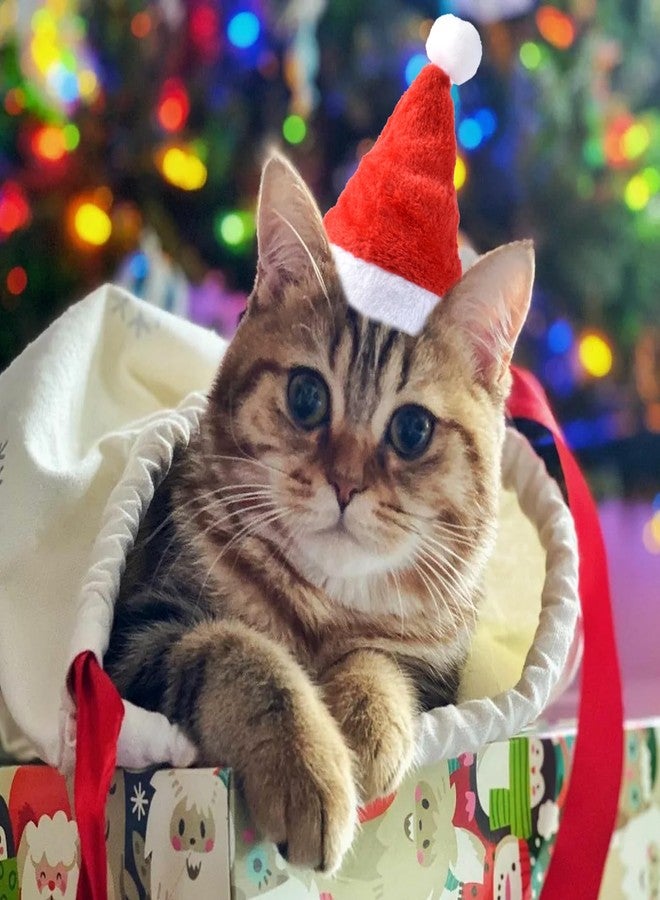 Dancepanda Mini Dog Santa Hat for Dogs Christmas Hat,Small Cat Santa Hats(Red) - Image 5